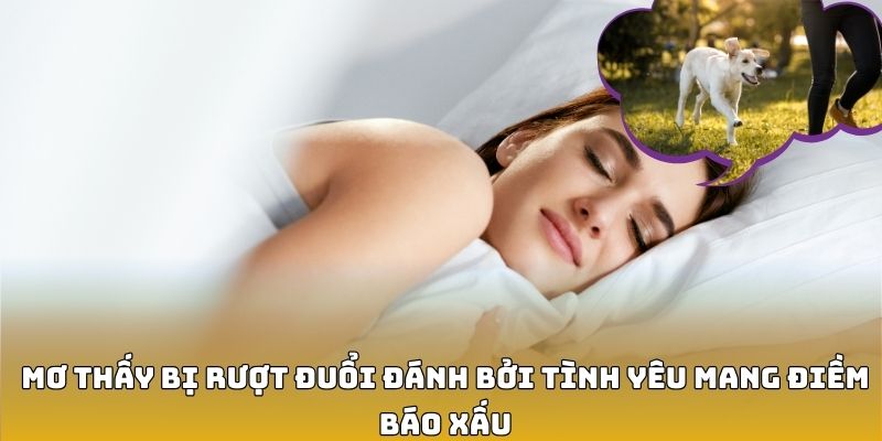 Mơ Thấy Bị Rượt Đuổi Đánh Con Ba Càng Đề Nào Để Vào Bờ? 7 Mơ thấy bị rượt đuổi đánh bởi tình yêu mang điềm báo xấu
